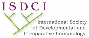 ISDCI Logo